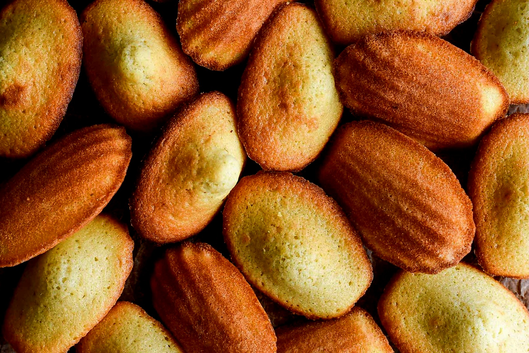 Madeleines