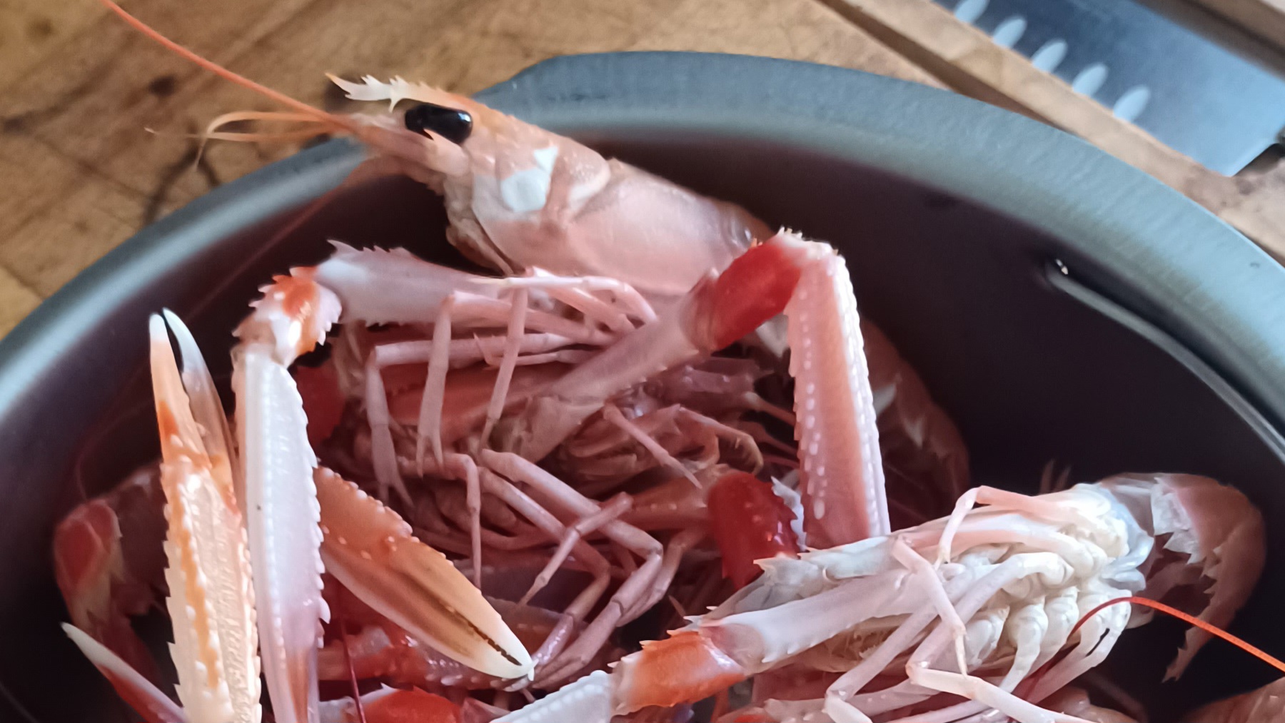 Plain langoustines